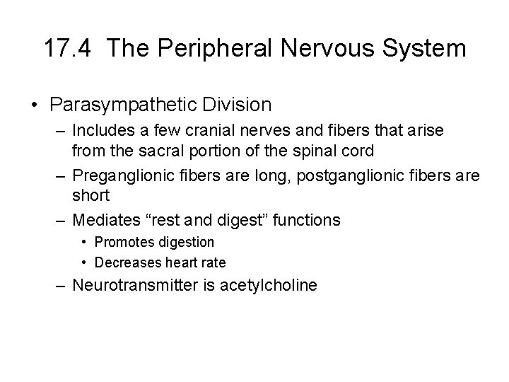 17. 4 The Peripheral Nervous System • Parasympathetic Division – Includes a few cranial 17. 4 The Peripheral Nervous System • Parasympathetic Division – Includes a few cranial