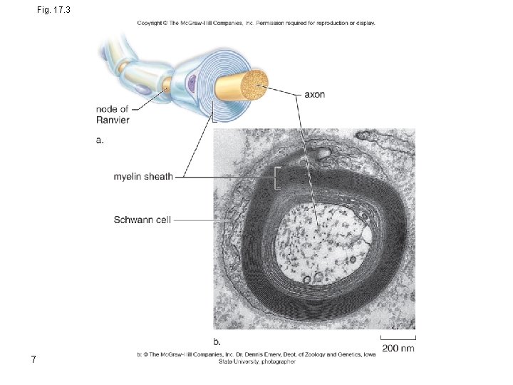 Fig. 17. 3 7 Fig. 17. 3 7