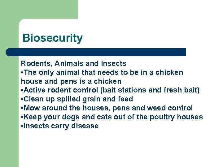 Biosecurity Rodents, Animals and Insects • The only animal that needs to be in