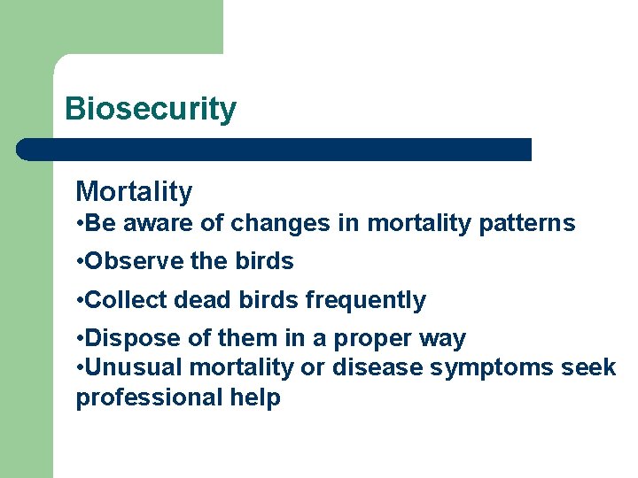 Biosecurity Mortality • Be aware of changes in mortality patterns • Observe the birds