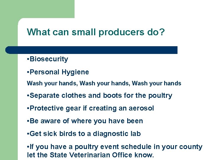 What can small producers do? • Biosecurity • Personal Hygiene Wash your hands, Wash