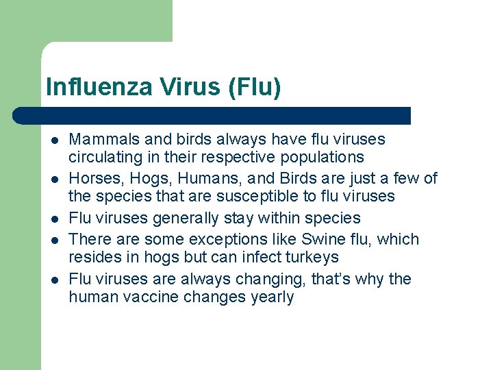 Influenza Virus (Flu) l l l Mammals and birds always have flu viruses circulating