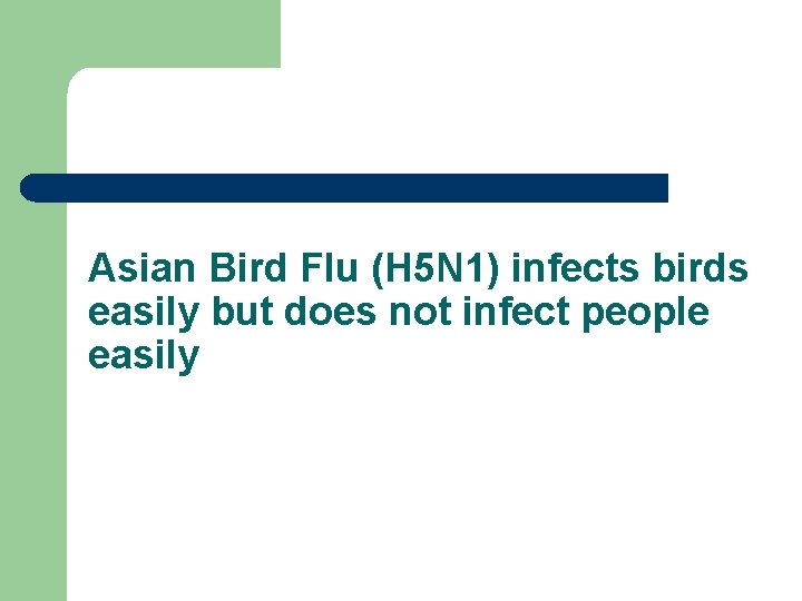Asian Bird Flu (H 5 N 1) infects birds easily but does not infect