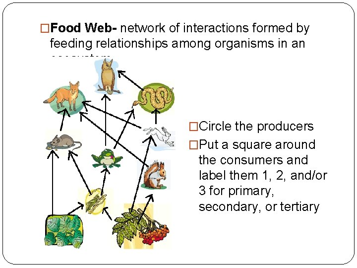 �Food Web- network of interactions formed by feeding relationships among organisms in an ecosystem