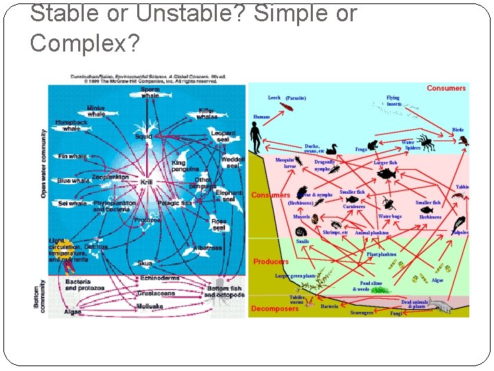 Stable or Unstable? Simple or Complex? 
