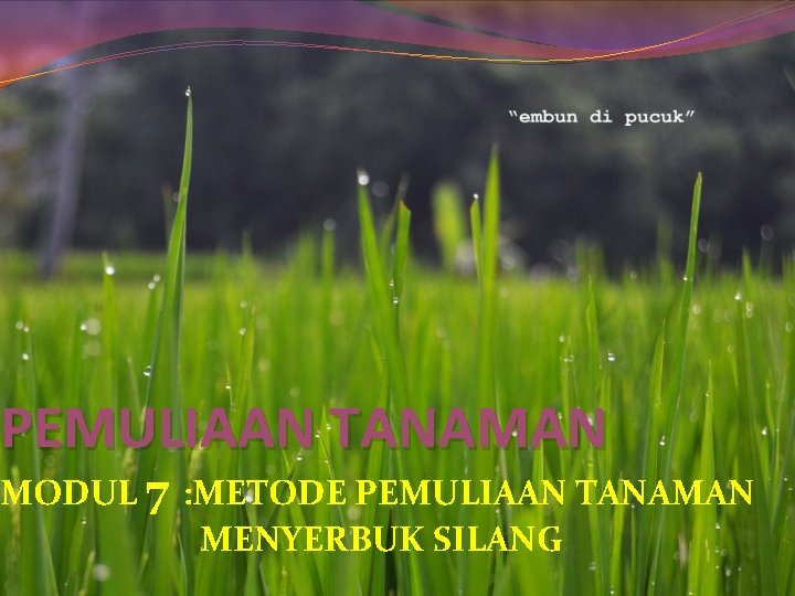 PEMULIAAN TANAMAN MODUL 7 : METODE PEMULIAAN TANAMAN MENYERBUK SILANG 