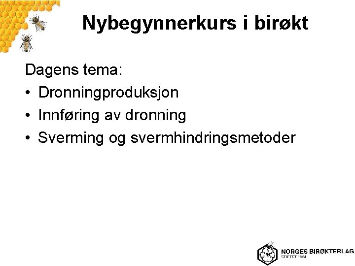 Nybegynnerkurs i birøkt Dagens tema: • Dronningproduksjon • Innføring av dronning • Sverming og