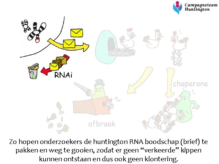 Zo hopen onderzoekers de huntington RNA boodschap (brief) te pakken en weg te gooien,