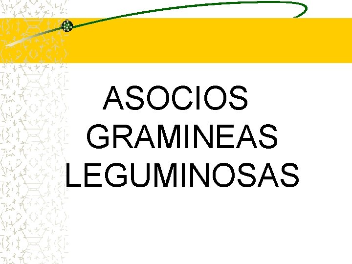 ASOCIOS GRAMINEAS LEGUMINOSAS ASOCIOS GRAMINEAS LEGUMINOSAS