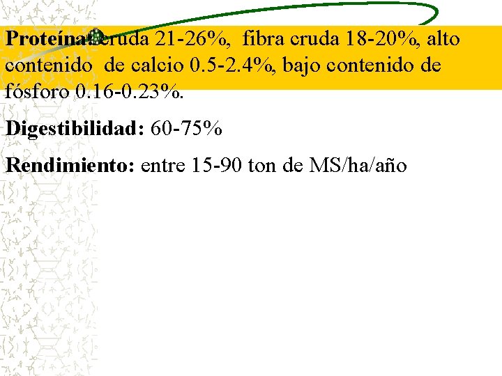 Proteína: cruda 21 -26%, fibra cruda 18 -20%, alto contenido de calcio 0. 5 Proteína: cruda 21 -26%, fibra cruda 18 -20%, alto contenido de calcio 0. 5