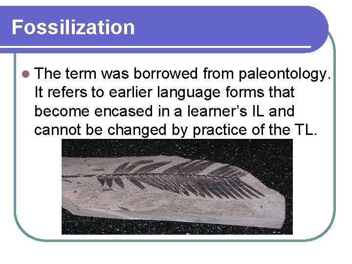 Fossilization l The term was borrowed from paleontology. It refers to earlier language forms