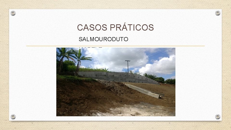 CASOS PRÁTICOS SALMOURODUTO MAPELE CASOS PRÁTICOS SALMOURODUTO MAPELE