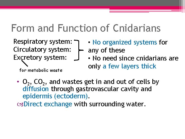 Form and Function of Cnidarians Respiratory system: Circulatory system: Excretory system: for metabolic waste Form and Function of Cnidarians Respiratory system: Circulatory system: Excretory system: for metabolic waste