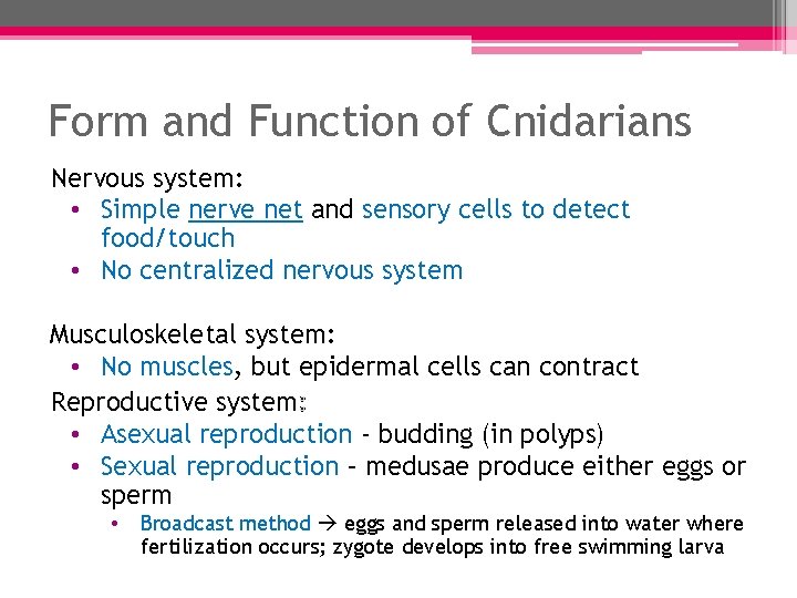Form and Function of Cnidarians Nervous system: • Simple nerve net and sensory cells Form and Function of Cnidarians Nervous system: • Simple nerve net and sensory cells