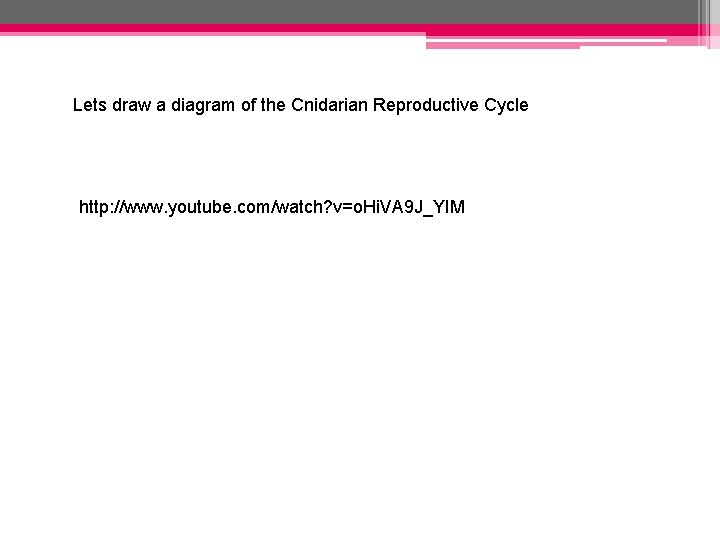 Lets draw a diagram of the Cnidarian Reproductive Cycle http: //www. youtube. com/watch? v=o. Lets draw a diagram of the Cnidarian Reproductive Cycle http: //www. youtube. com/watch? v=o.