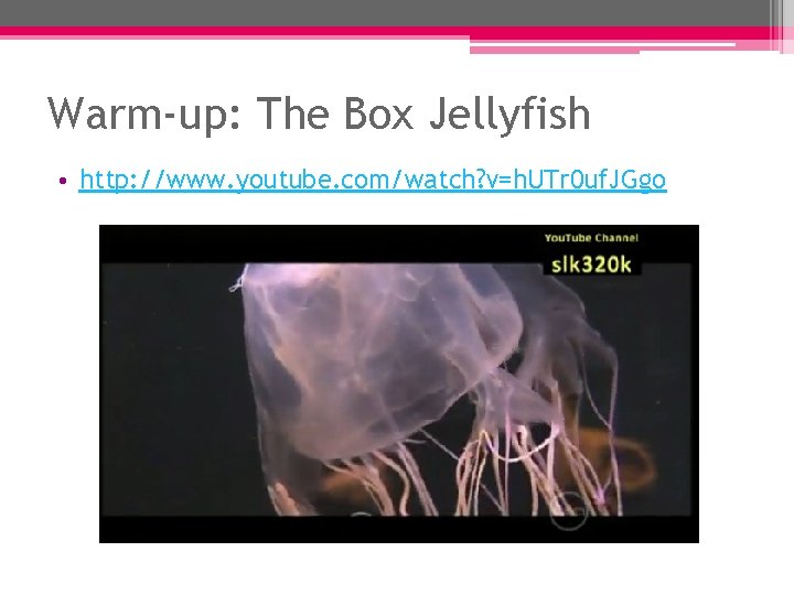 Warm-up: The Box Jellyfish • http: //www. youtube. com/watch? v=h. UTr 0 uf. JGgo Warm-up: The Box Jellyfish • http: //www. youtube. com/watch? v=h. UTr 0 uf. JGgo
