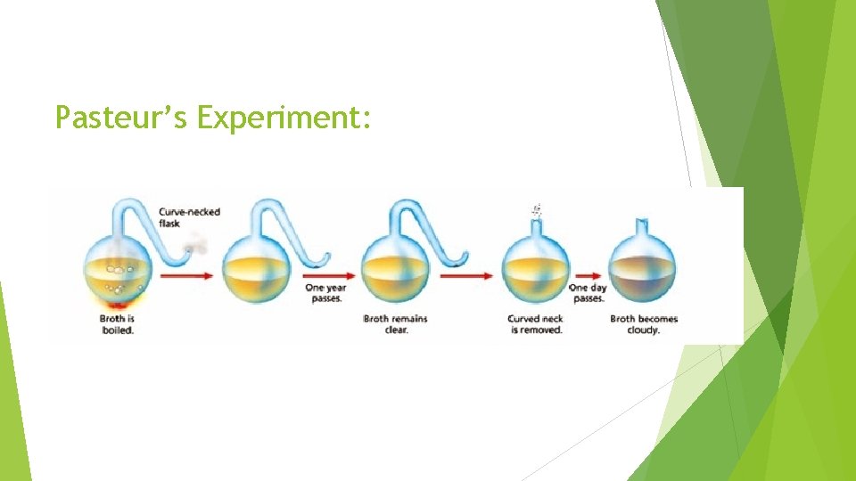 Pasteur’s Experiment: Pasteur’s Experiment: