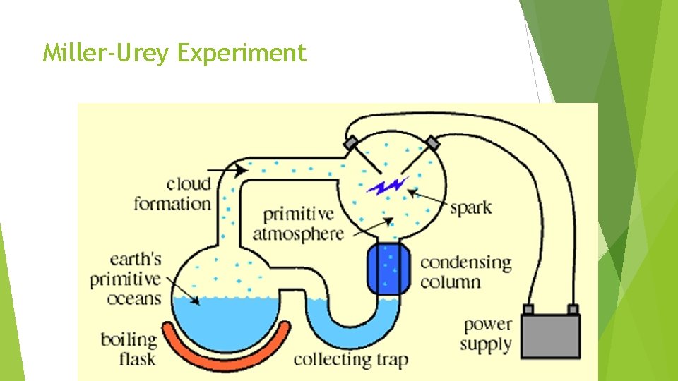 Miller-Urey Experiment Miller-Urey Experiment