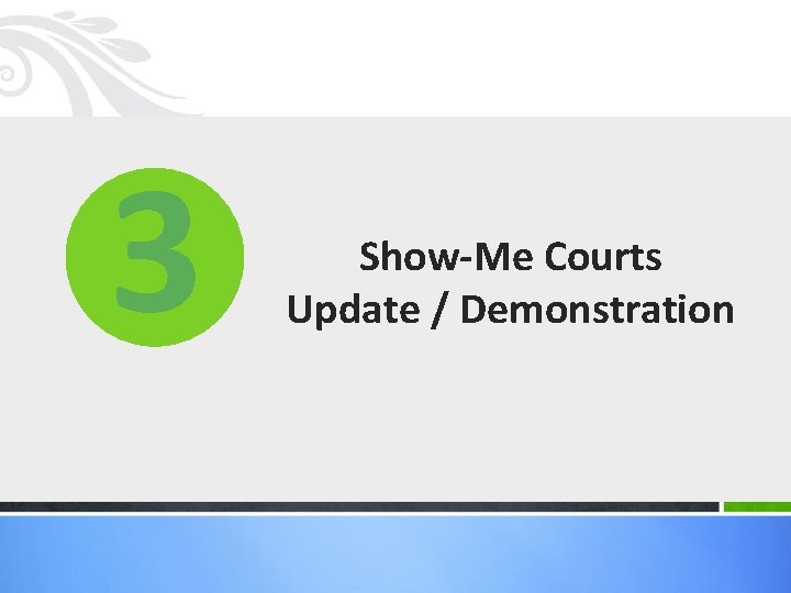 3 Show-Me Courts Update / Demonstration 