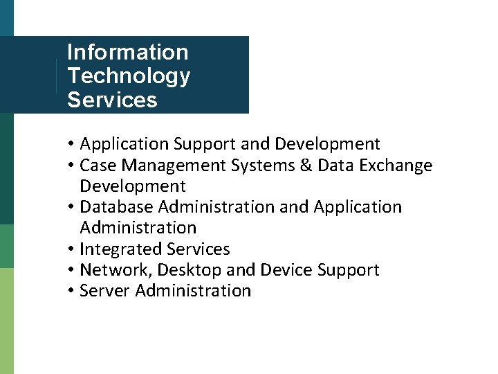 Information Technology Services • Application Support and Development • Case Management Systems & Data