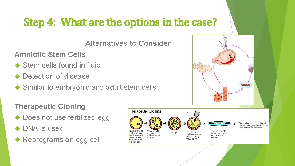 Embryonic Vs Adult Stem Cell Research