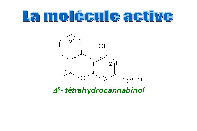 9 OH 2 O C 5 H 11 9 - tétrahydrocannabinol 