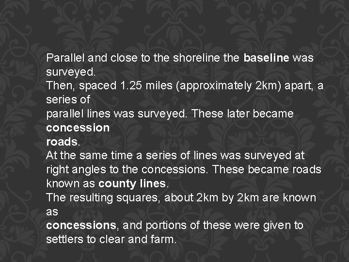 Parallel and close to the shoreline the baseline was surveyed. Then, spaced 1. 25