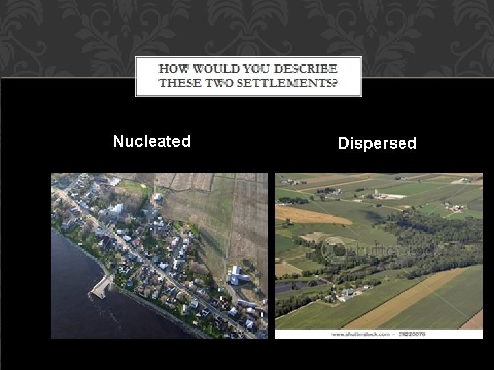 Nucleated Dispersed 