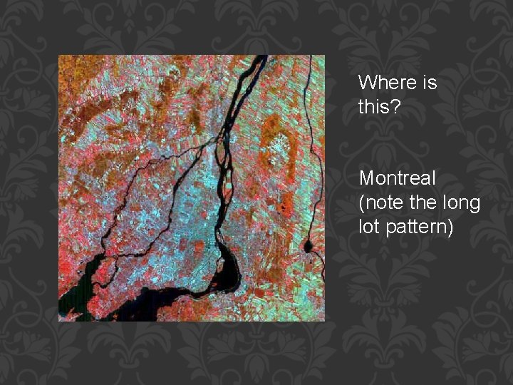 Where is this? Montreal (note the long lot pattern) 