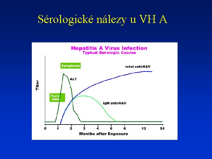 Sérologické nálezy u VH A 