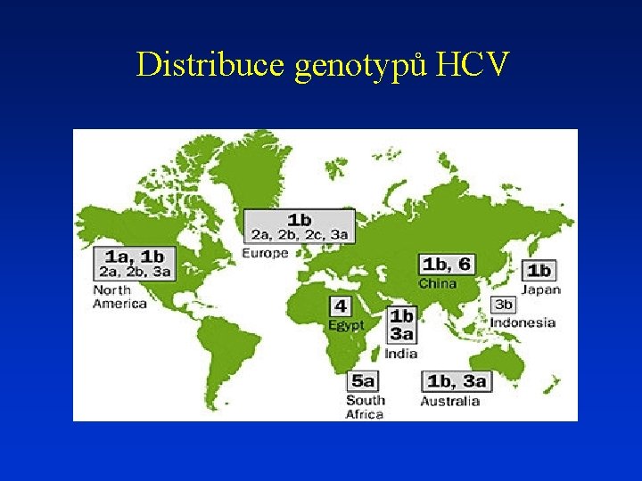 Distribuce genotypů HCV 