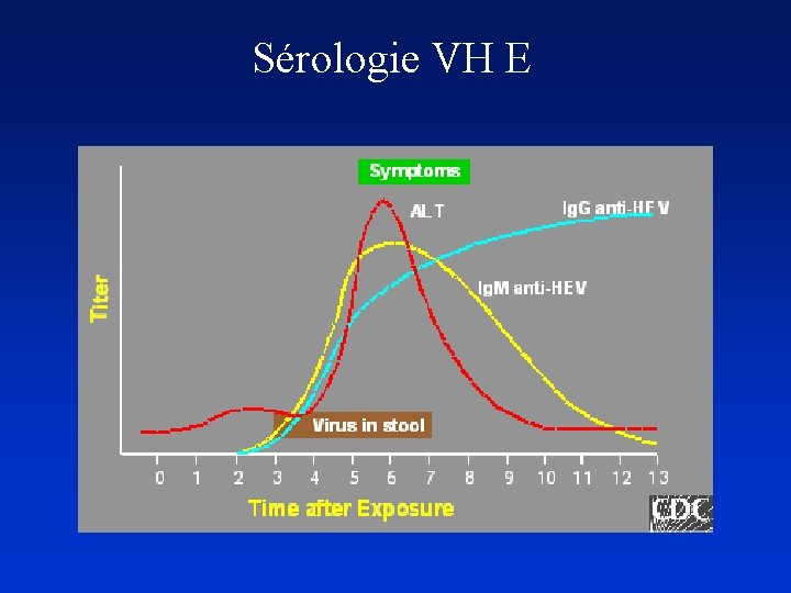 Sérologie VH E 