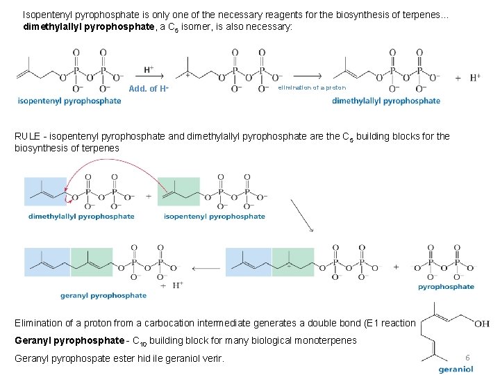 Isopentenyl pyrophosphate is only one of the necessary reagents for the biosynthesis of terpenes…