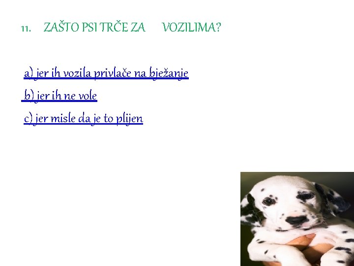 11. ZAŠTO PSI TRČE ZA VOZILIMA? a) jer ih vozila privlače na bježanje b)