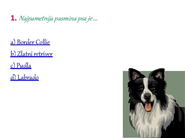 1. Najpametnija pasmina psa je. . . a) Border Collie b) Zlatni retriver c)