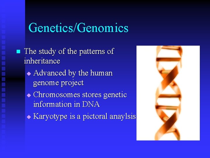 Genetics/Genomics n The study of the patterns of inheritance u Advanced by the human