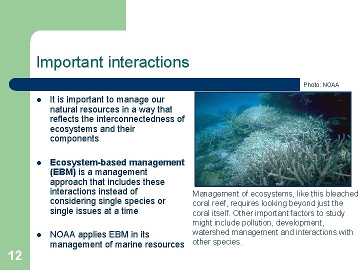 Important interactions Photo: NOAA l It is important to manage our natural resources in