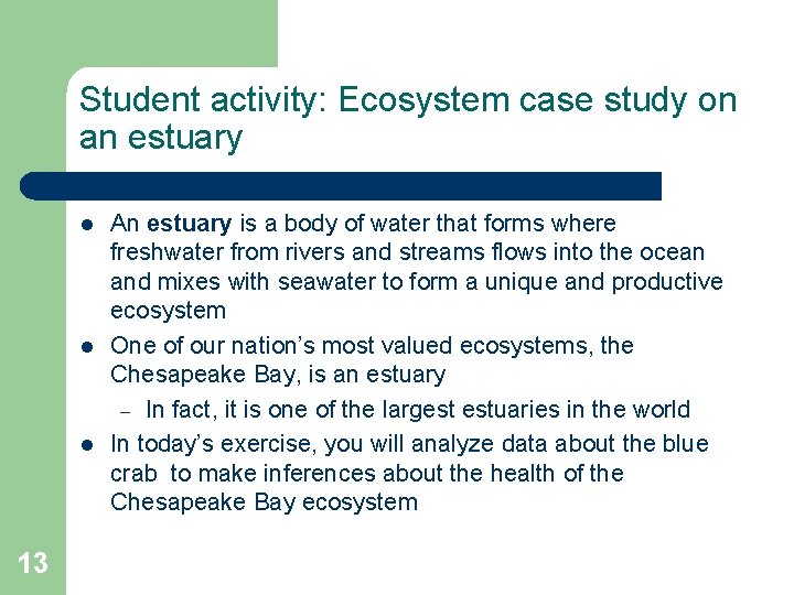 Student activity: Ecosystem case study on an estuary l l l 13 An estuary