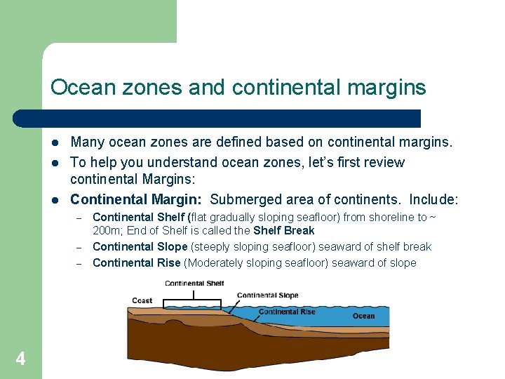 Ocean zones and continental margins l l l Many ocean zones are defined based