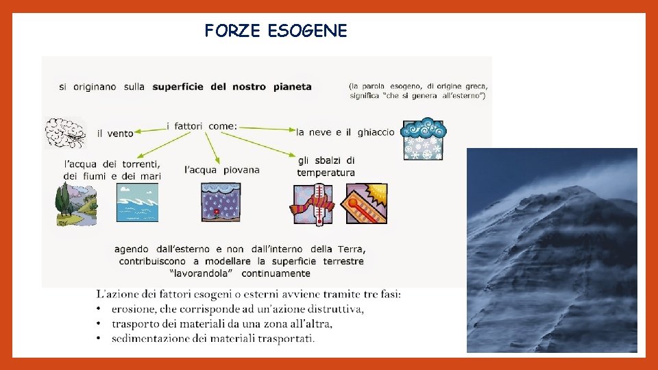 FORZE ESOGENE 