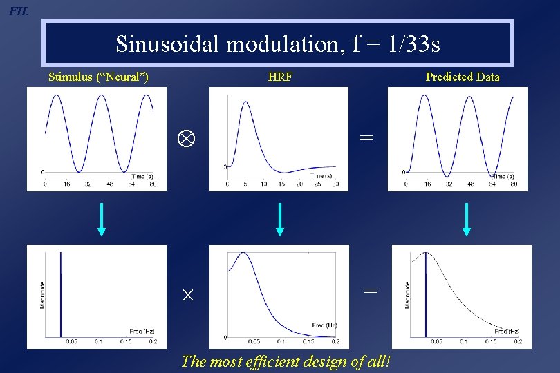 FIL Sinusoidal modulation, f = 1/33 s Stimulus (“Neural”) HRF Predicted Data = =