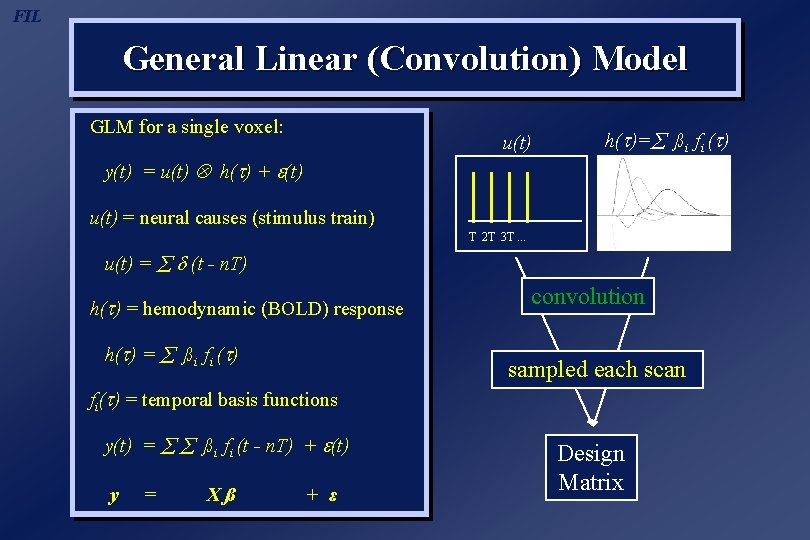 FIL General Linear (Convolution) Model GLM for a single voxel: u(t) h(t)= ßi fi