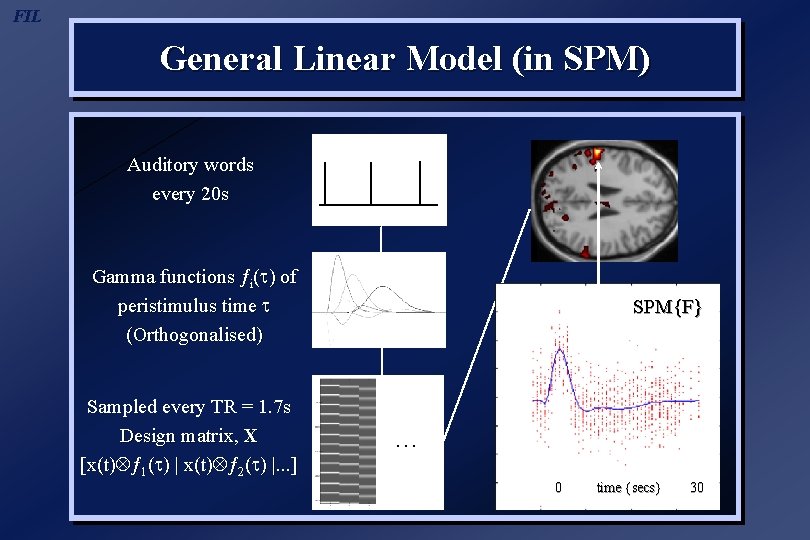 FIL General Linear Model (in SPM) Auditory words every 20 s Gamma functions ƒi(