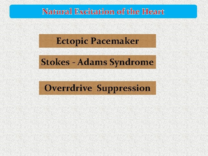 Natural Excitation of the Heart Ectopic Pacemaker Stokes - Adams Syndrome Overrdrive Suppression 