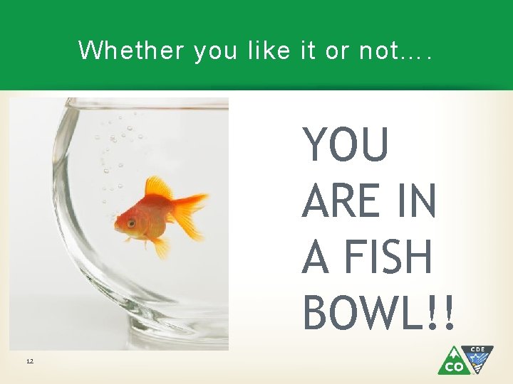 Whether you like it or not…. YOU ARE IN A FISH BOWL!! 12 