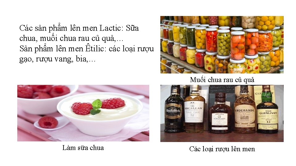 Các sản phẩm lên men Lactic: Sữa chua, muối chua rau củ quả, …