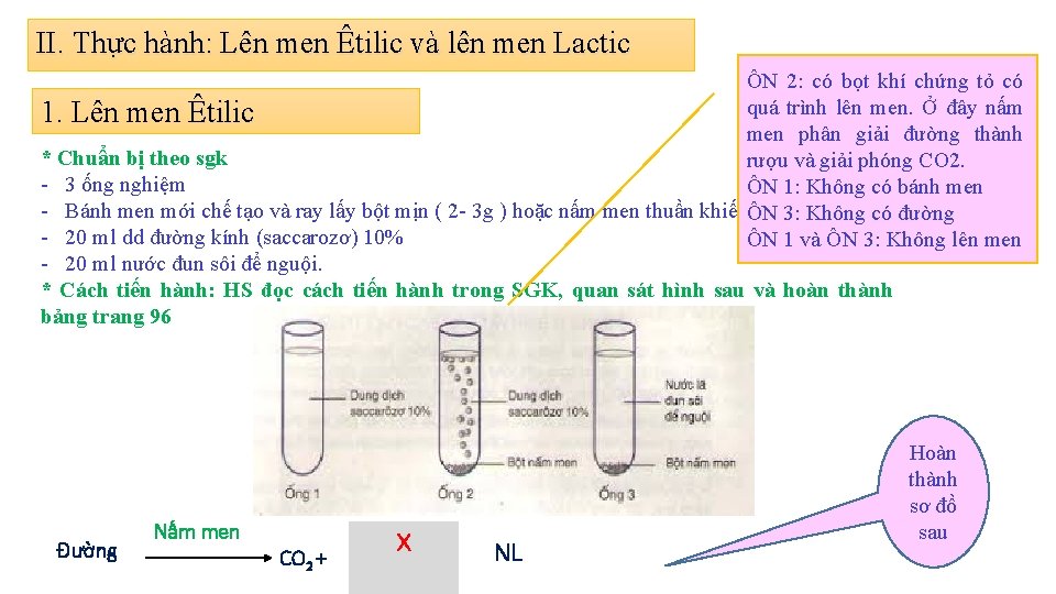 II. Thực hành: Lên men Êtilic và lên men Lactic ÔN 2: có bọt