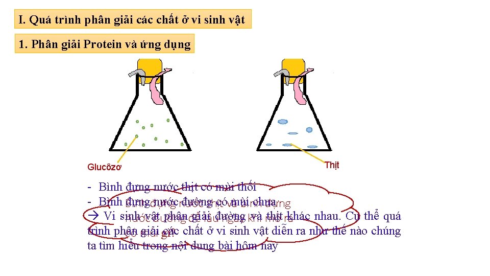 I. Quá trình phân giải các chất ở vi sinh vật 1. Phân giải