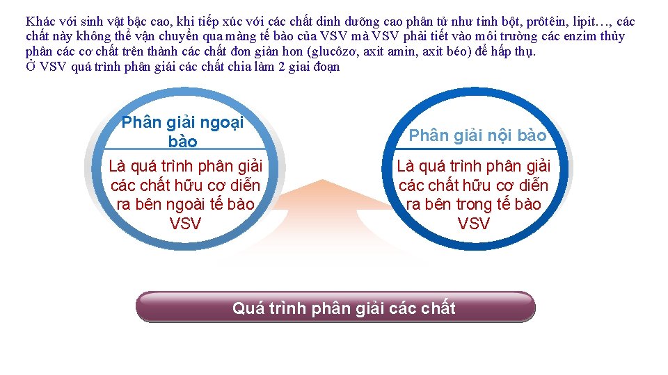 Khác với sinh vật bậc cao, khi tiếp xúc với các chất dinh dưỡng