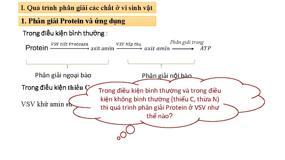 I. Quá trình phân giải các chất ở vi sinh vật 1. Phân giải